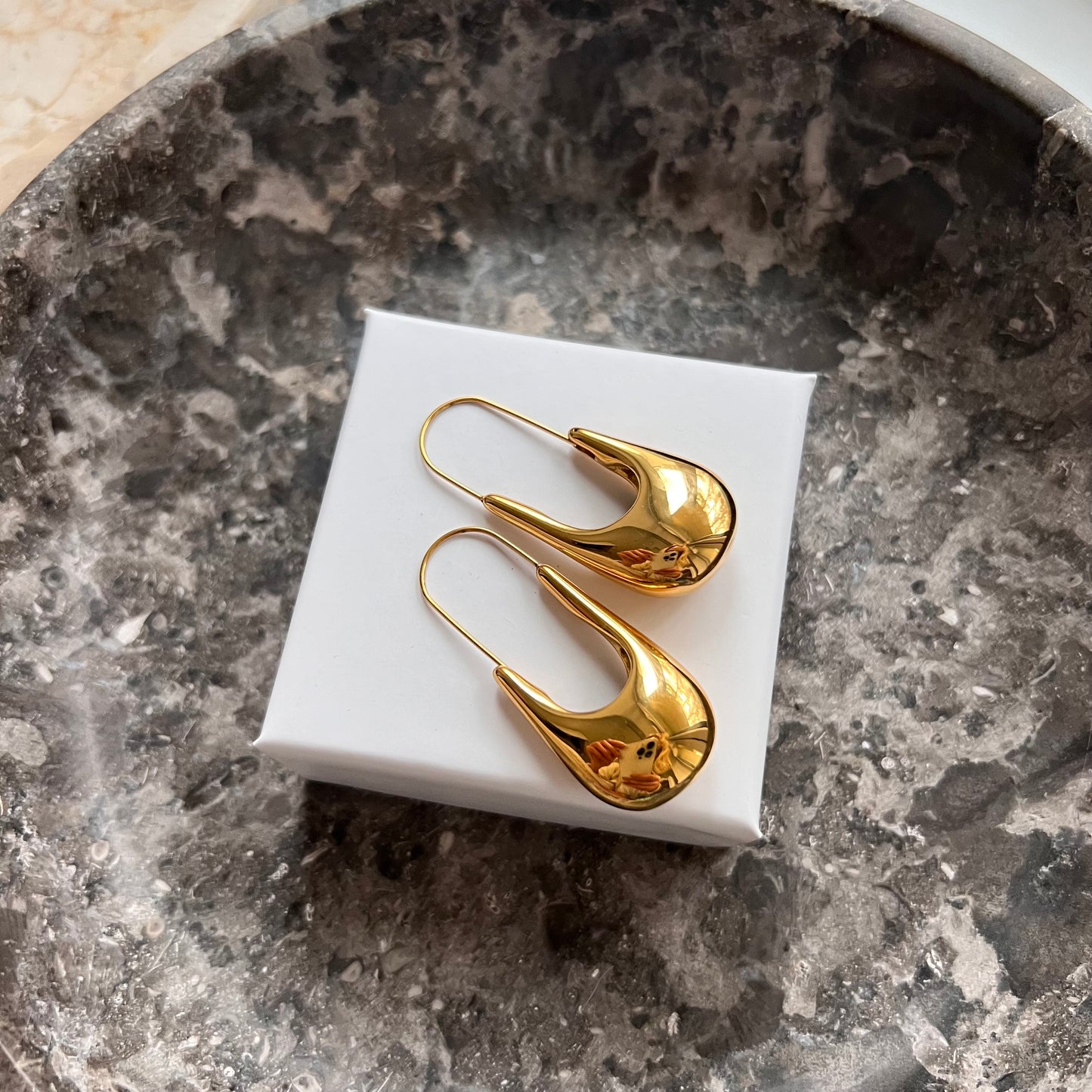 Sleek pin drop earings